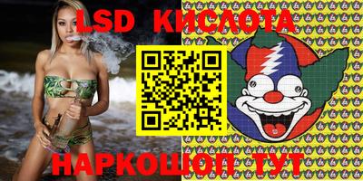 индика Кунгур