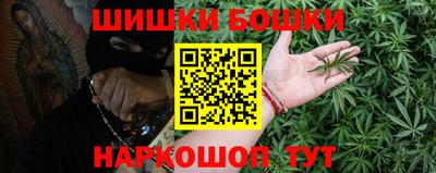 индика Кунгур